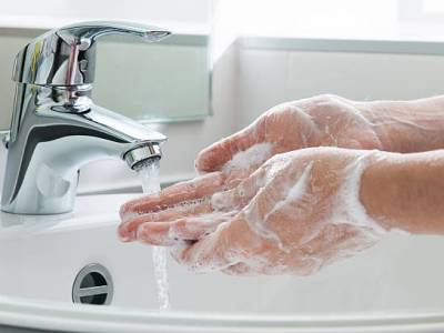 Always wash your hands