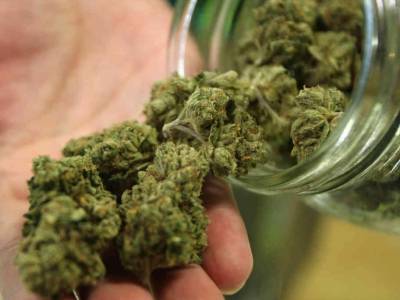 Marijuana